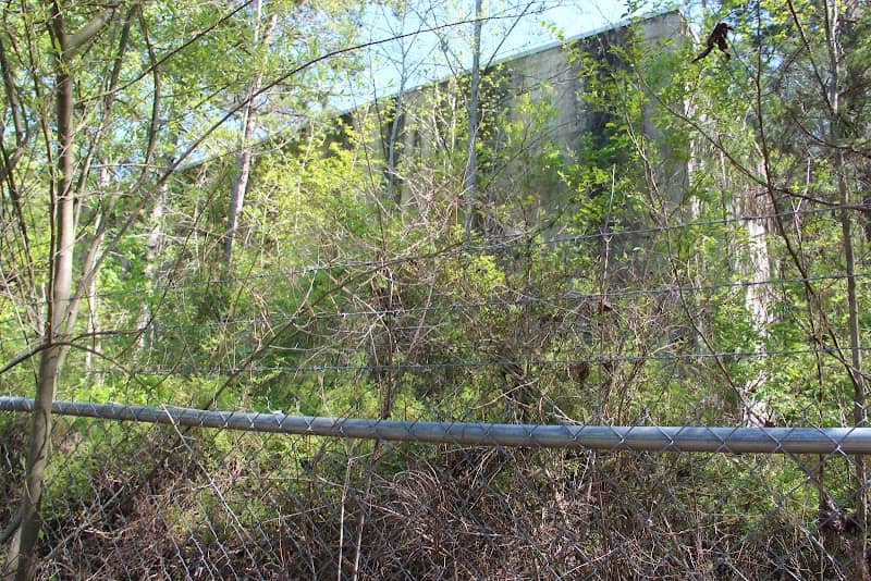 Dawson Forest - City of Atlanta Tract - Image 1