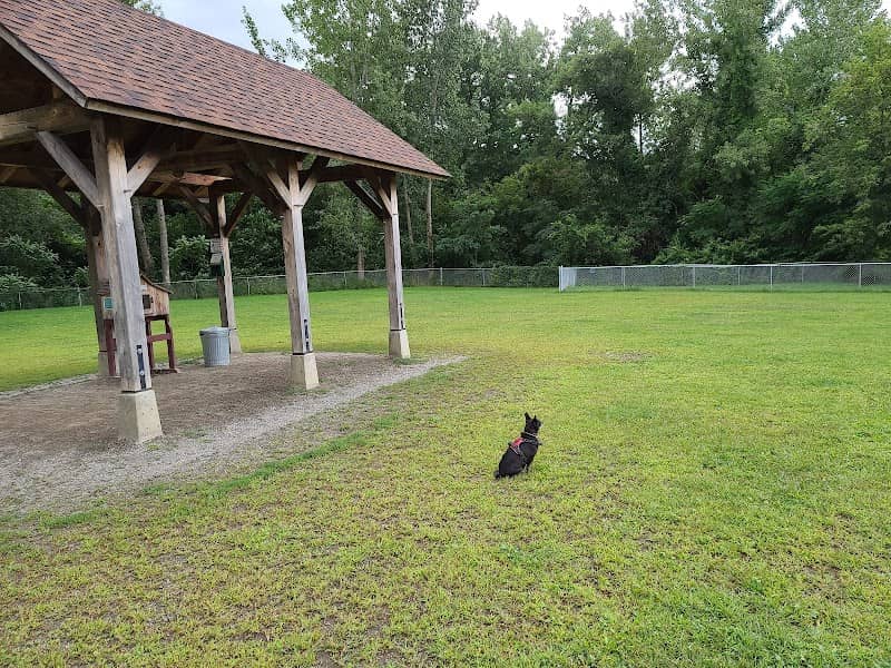 Waterbury Dog Park - Image 2