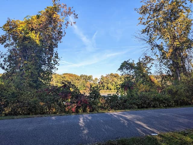 Mohawk-Hudson Bike Trail Spur - Image 1