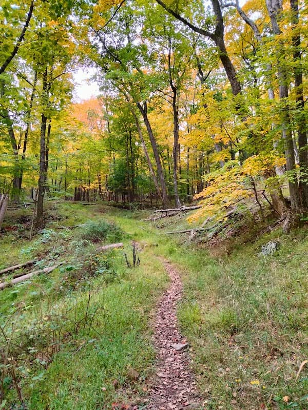 Tynan Memorial Park - Image 1