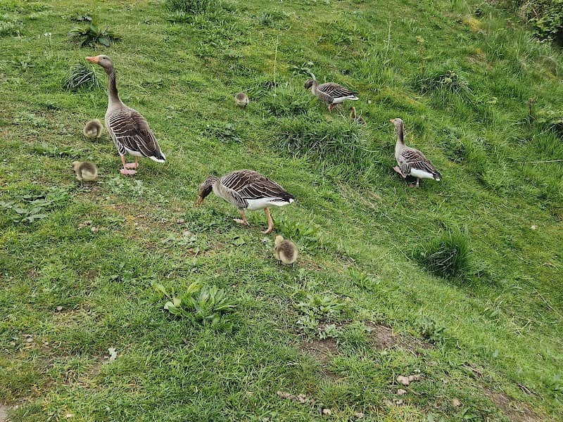 Lunettepark - Image 1