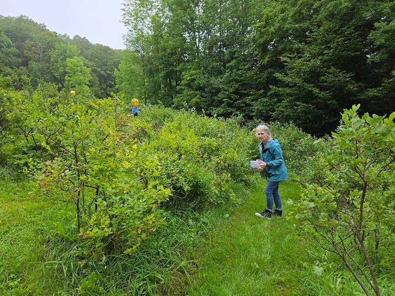 Blueberry Hill Farm - Image 1