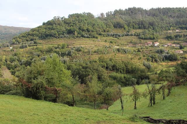 Penedos de Lamelas - Image 1