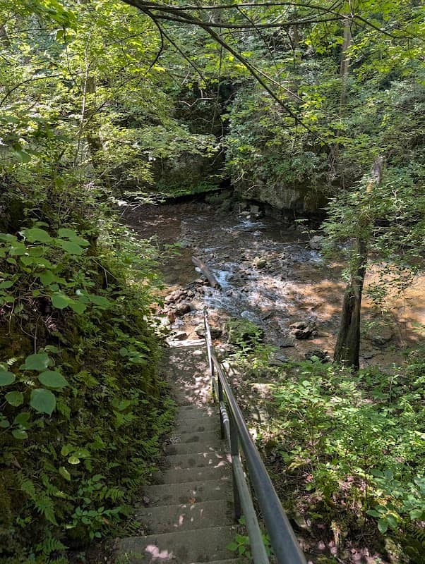 RIM TRAIL - Image 1