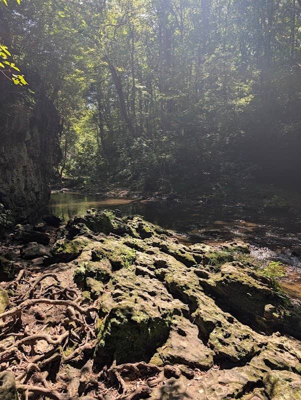RIM TRAIL - Image 2