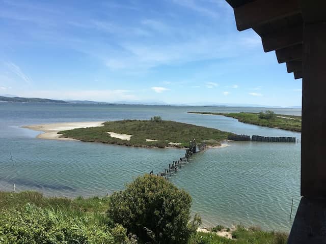 Birdwatching tower - Image 1
