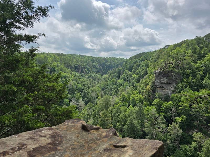 Base of Fall Creek Falls - Image 3