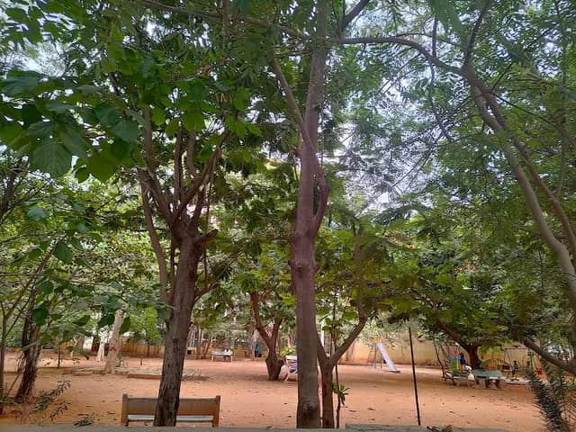 Siddhartha Park, Ramnagar - Image 1