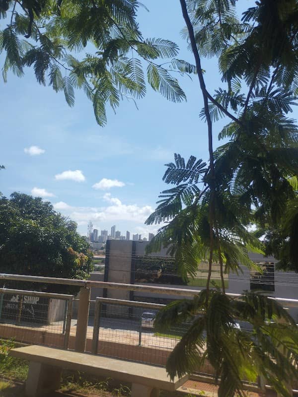 Mirante - Image 2