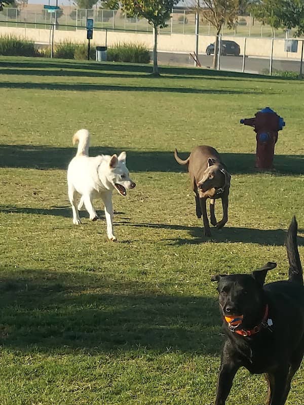 Mesa Marin Dog Park - Image 1