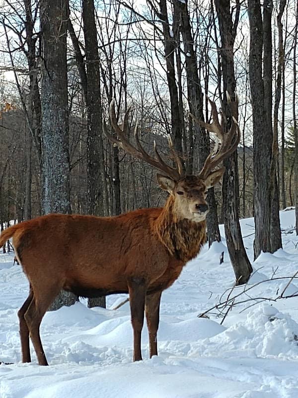 Omega Park - Image 2