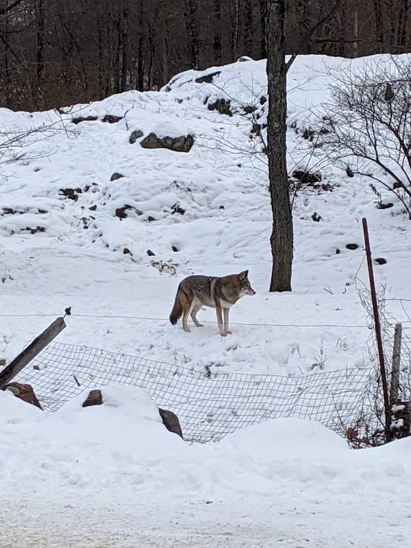 Omega Park - Image 1