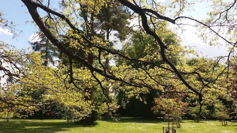 Beech Hurst park - Image 1