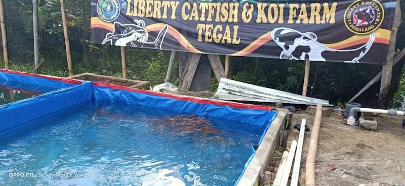 Liberty Koi Farm Tegal - Image 2