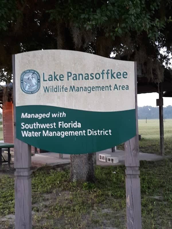 Lake Panasoffkee Wildlife Management Area - Image 1