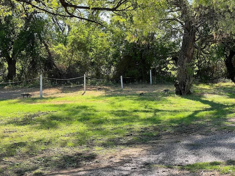 Lake Knierim County Park - Image 2