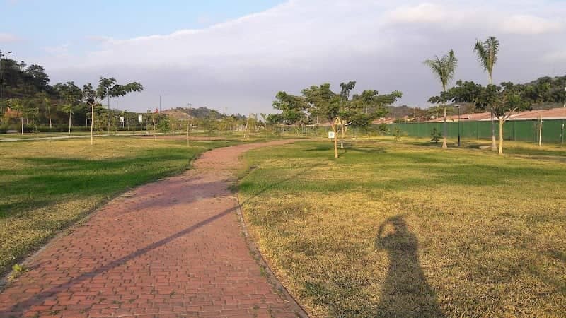 Lineal La Joya Park - Image 1