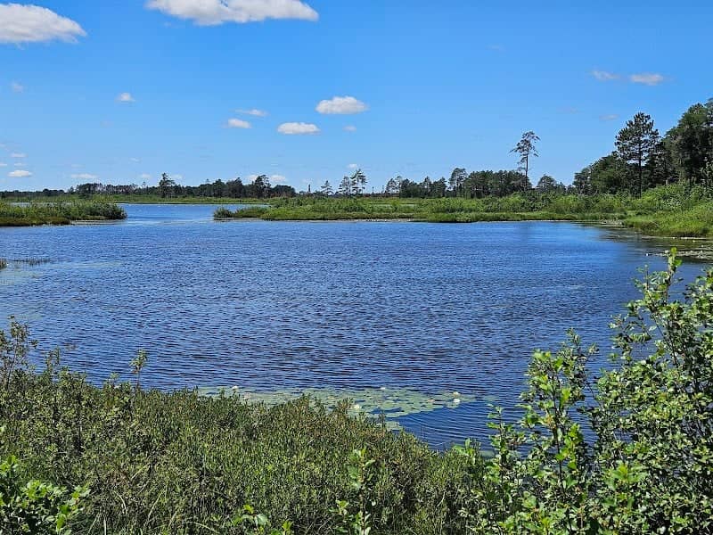 Seney National Wildlife Refuge - Image 3