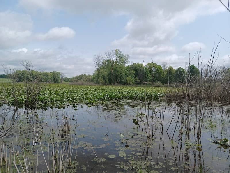 Van Buren County Waterfowl Production Area - Image 1