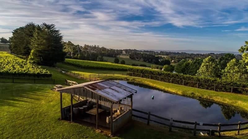 Payne's Rise Wines - Image 1