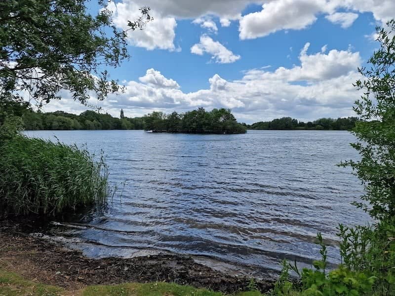Anakin Island - Image 1