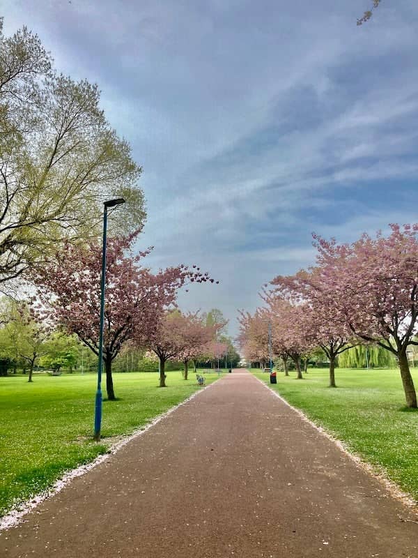 Pallister Park - Image 2