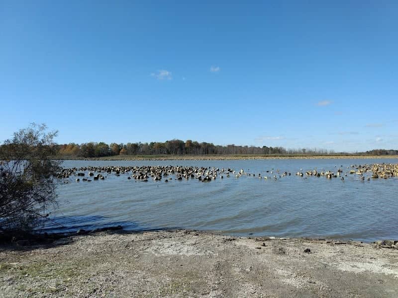 Little Portage River Wildlife Area - Image 2