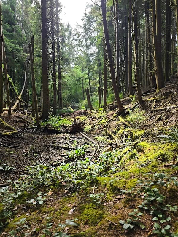 Agnes Creek Open Space - Image 1