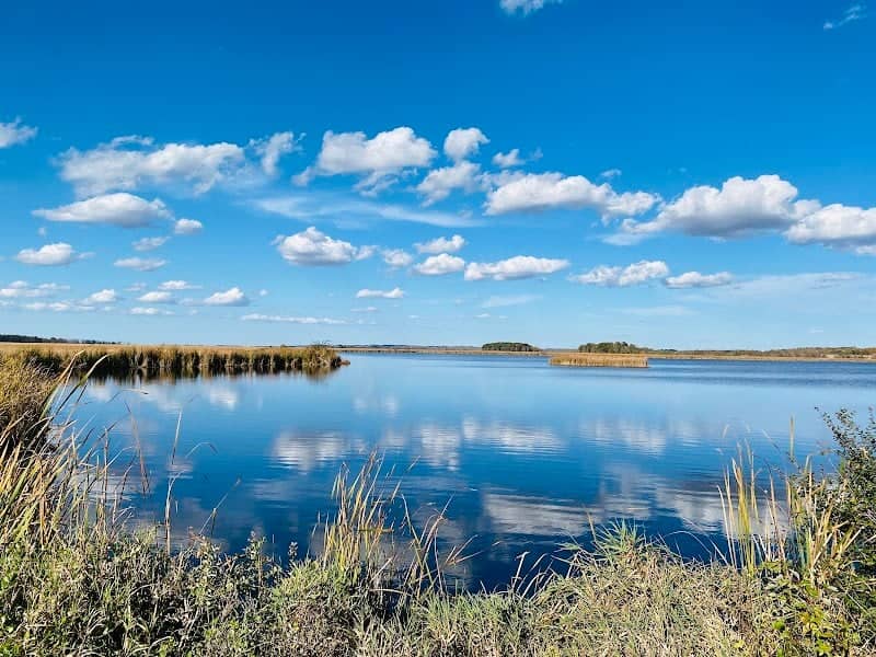 Horicon Marsh Scenic Outlook - Image 3
