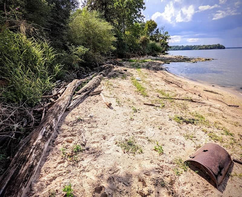 Goat Island - Image 1