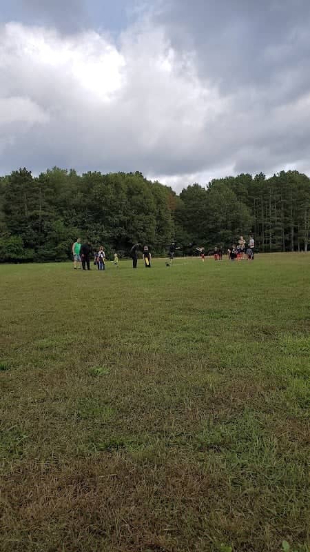 Fell Park - Image 2