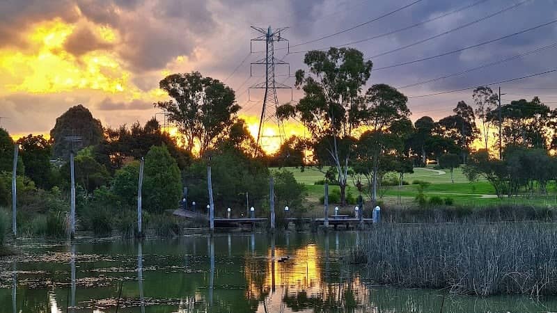 Blue Hills Wetland - Image 2