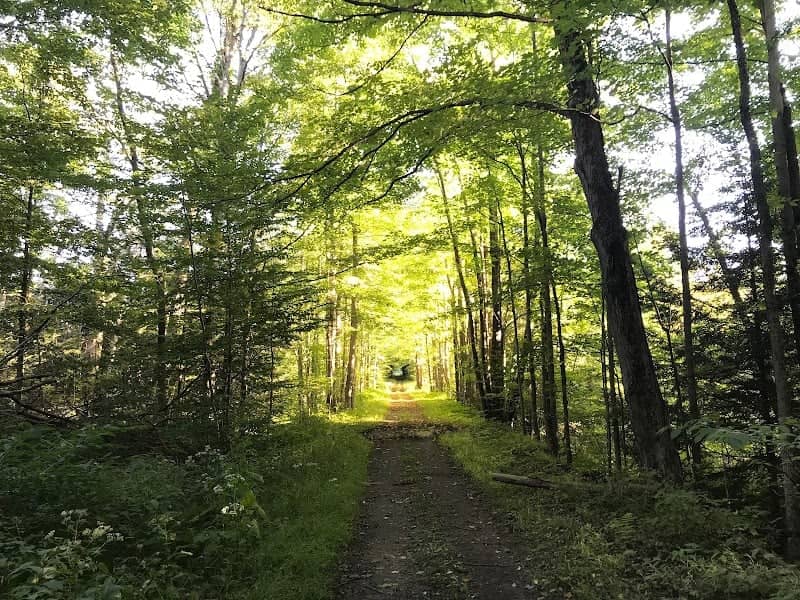 Chautauqua Rails To Trails - Image 1