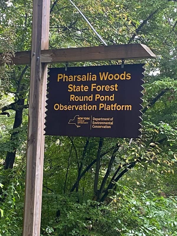 Pharsalia Woods SF Round Pond Observation Platform - Image 1