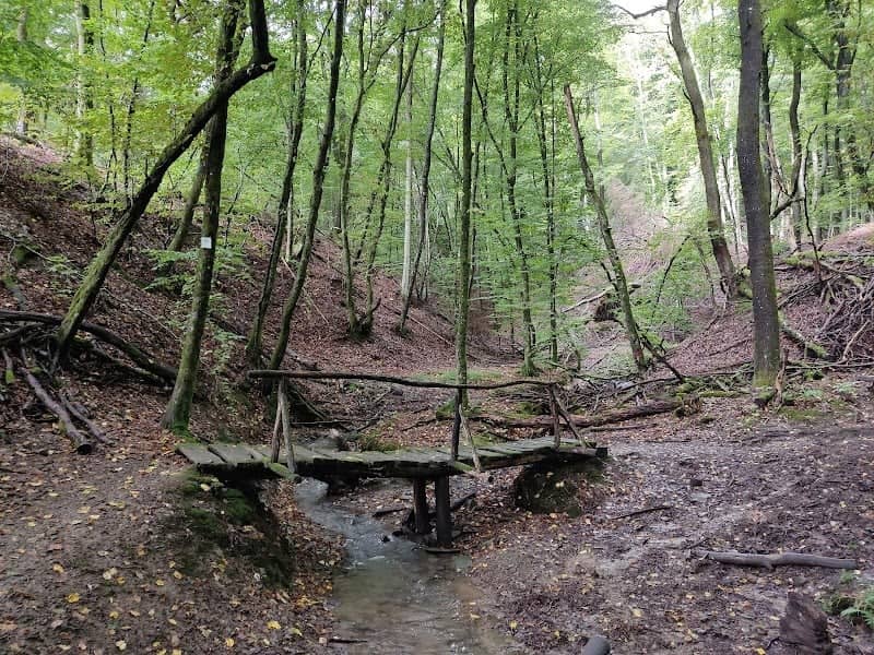 Bergmannsquelle - Image 1