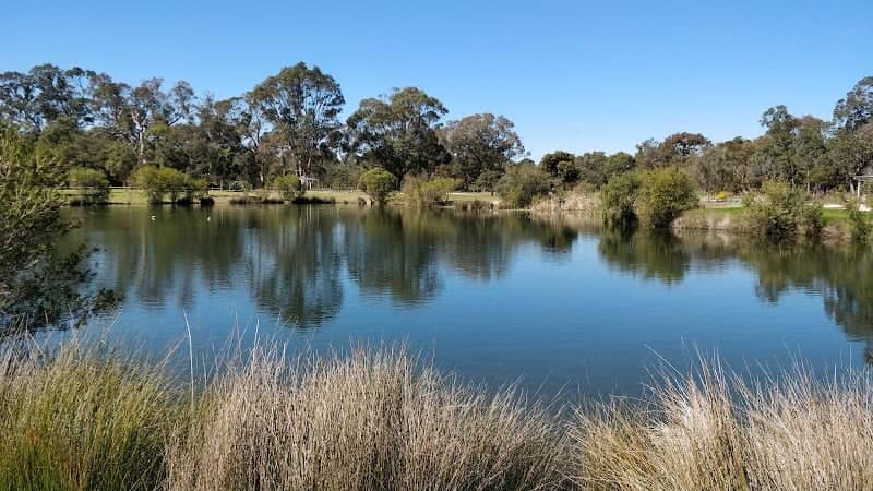 Duck Park - Image 1