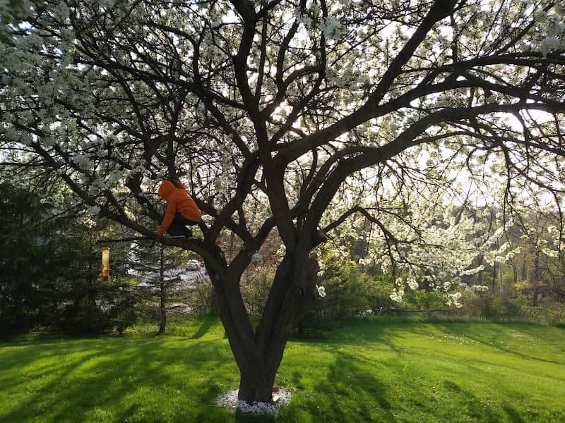 Heather Ridge Park - Image 2