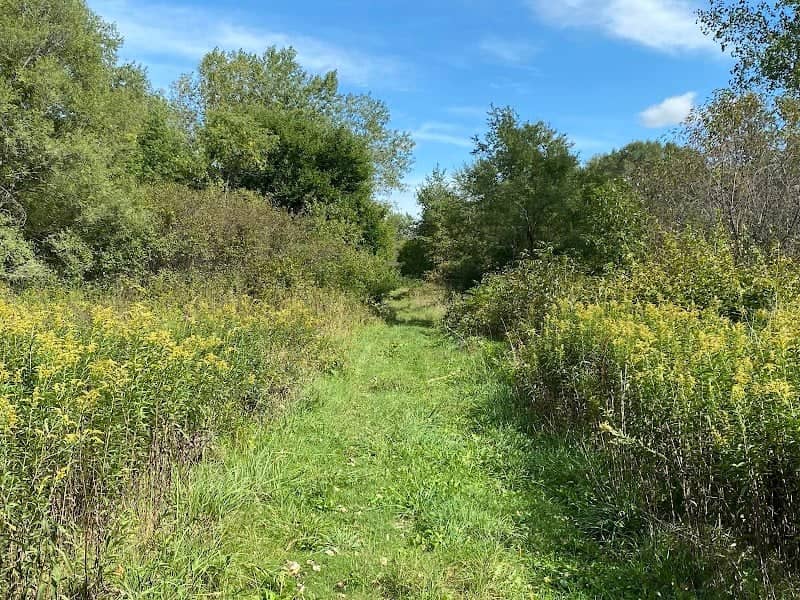 Fox Township Wildlife Area - Image 1
