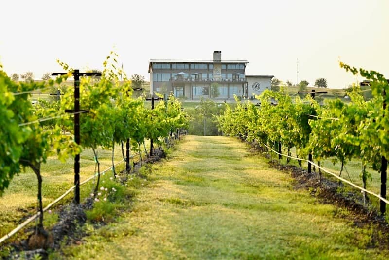 Chapelton Vineyards - Image 1