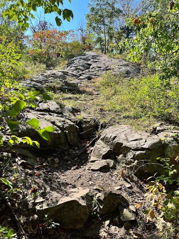 Poppy's Rock State Natural Area - Image 1