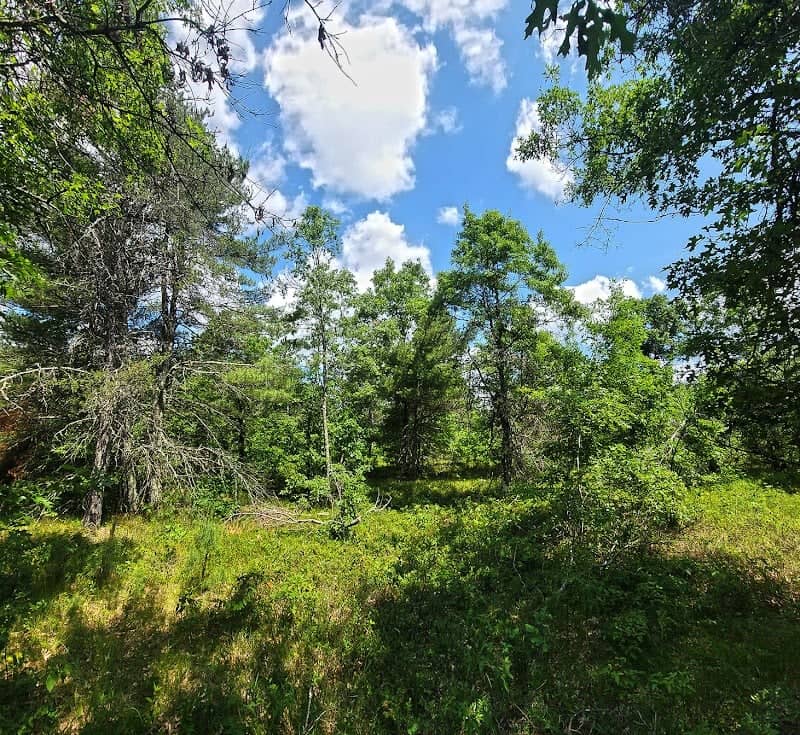 South Fork Barrens State Natural Area - Image 1
