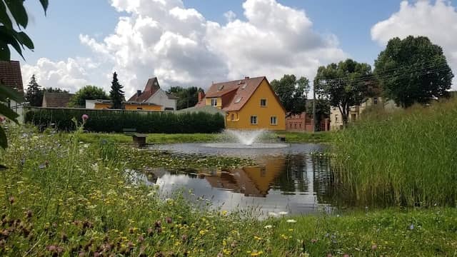 Dorfteich - Image 1