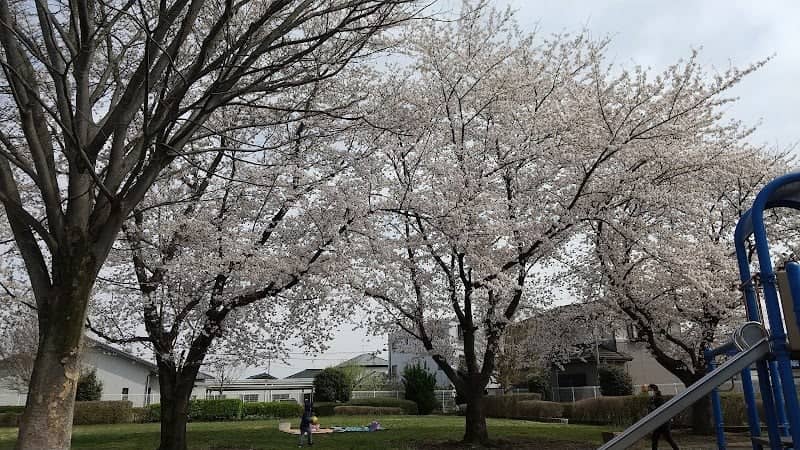 Hanazonoshiki Park - Image 1