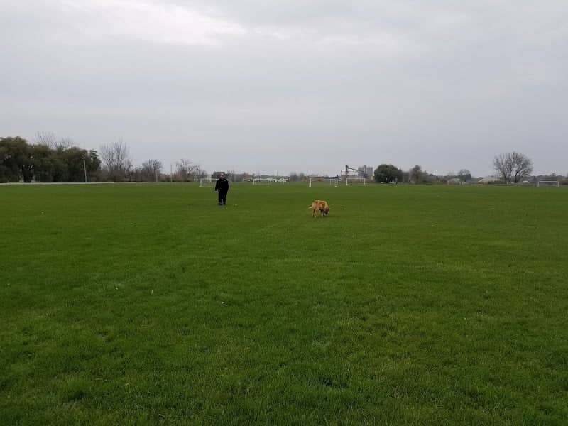 William Hatton Park - Image 2