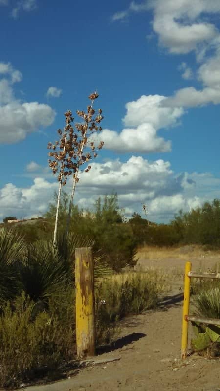 Roadrunner Circle Trailhead - Image 2