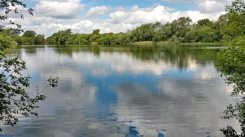 Oakhill Nature Reserve - Image 1