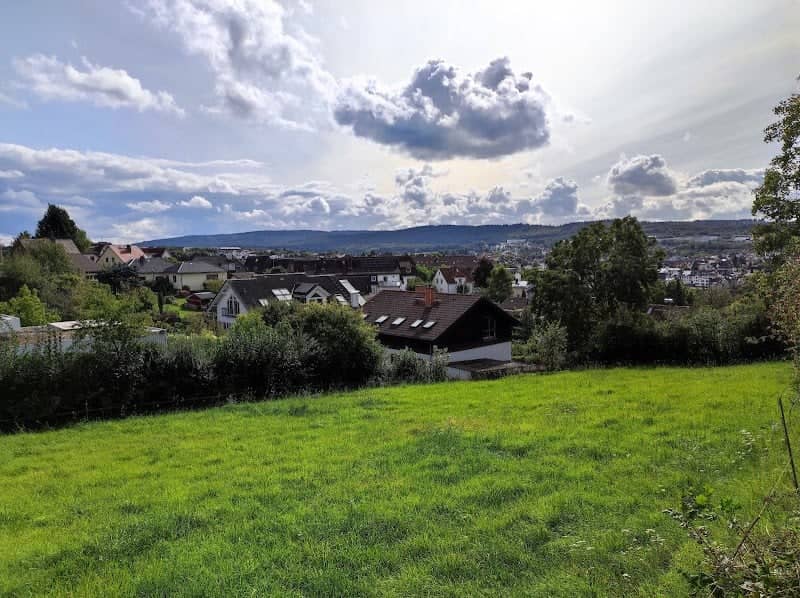 Tiergartenblick - Image 1