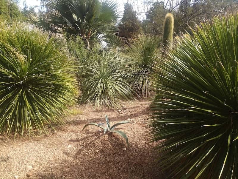 The John Fairey Garden Conservation Foundation - Image 1