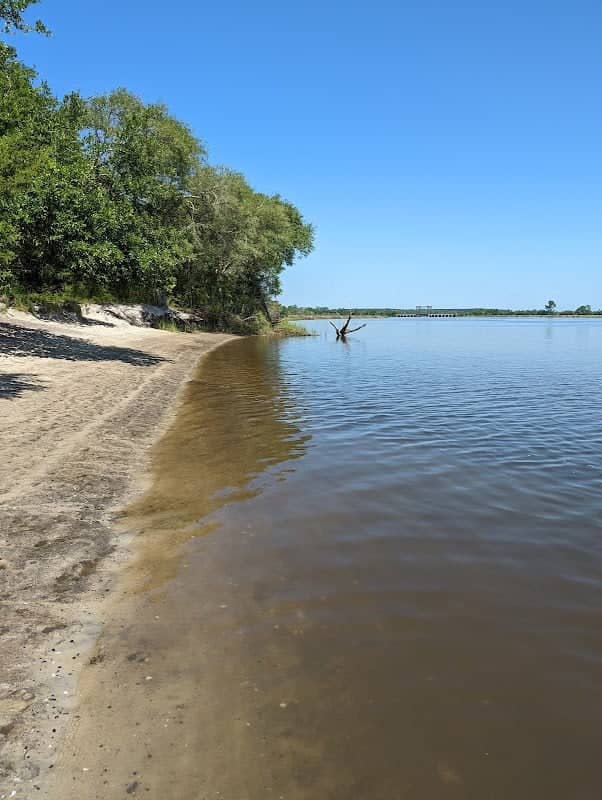 Wolf Island - Image 1