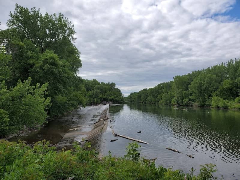 Oriskany Flats Wildlife Management Area - Image 1